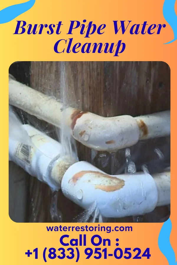 Burst Pipe Water Cleanup in Wise, VA