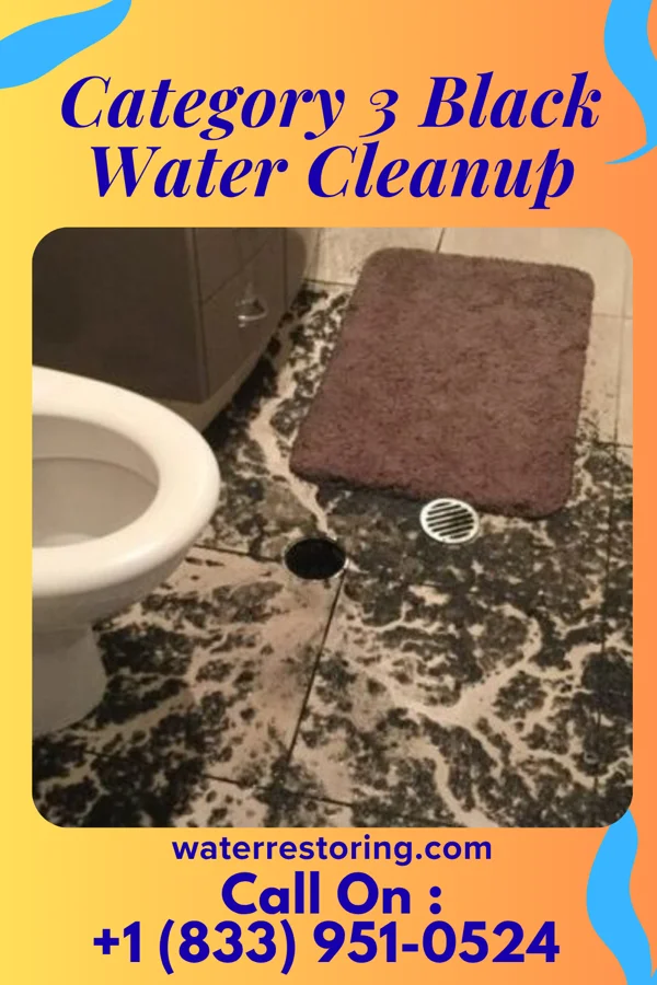 Category 3 Black Water Cleanup in Wise, VA