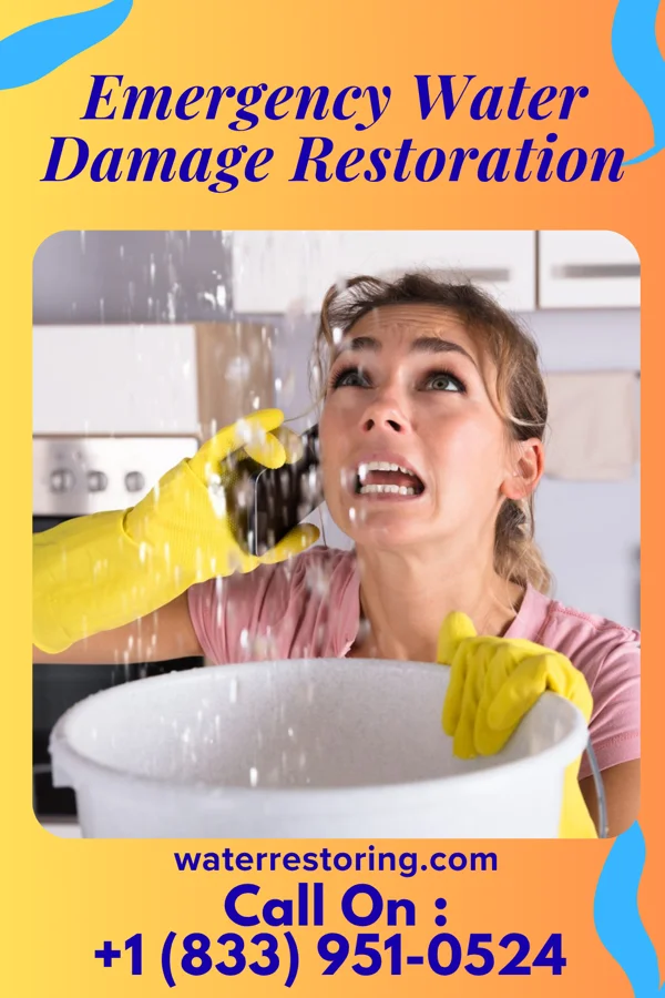 Emergency Water Damage Restoration in Wise, VA
