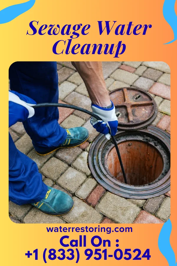 Sewage Water Cleanup in Wise, VA